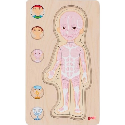 Layered Puzzle Boy - Human Body Inside Out