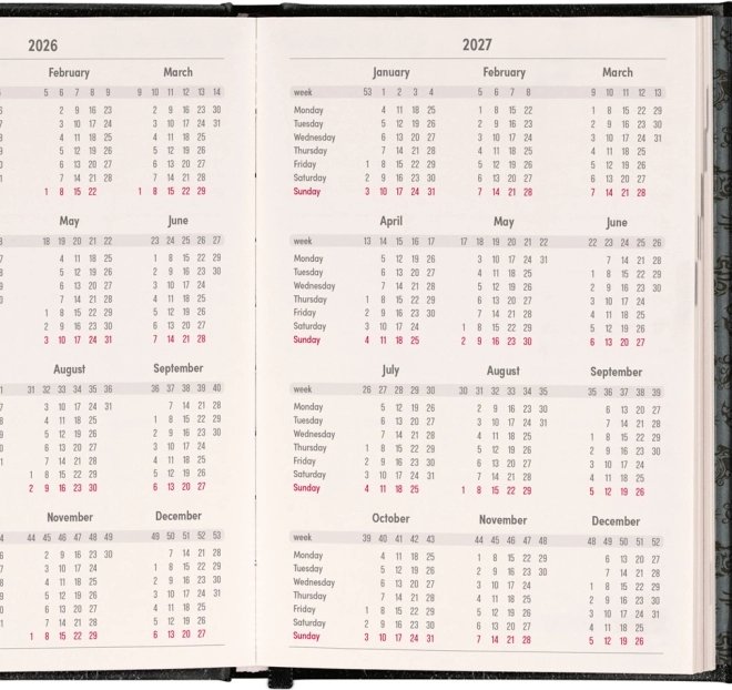Weekly Magnetic Diary Harry Potter Lumos 2026, 11 x 16 cm