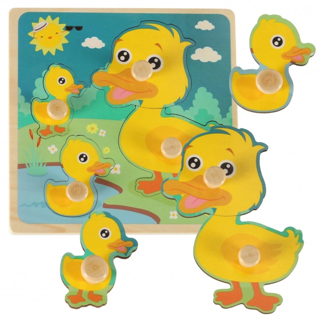 Wooden Duck Sorting Puzzle