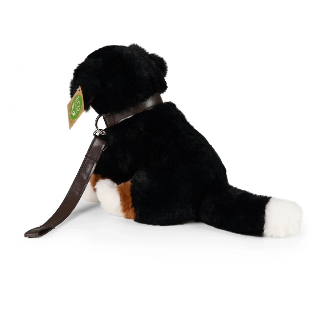 Bernese Mountain Dog Plush Toy with Leash and Sound