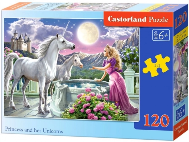 Puzzle Princess and Her Unicorns