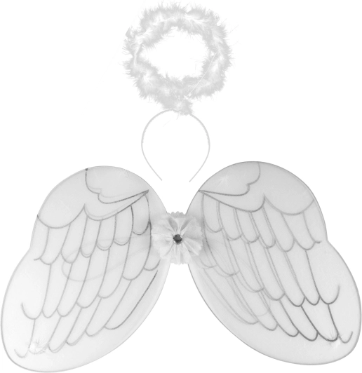 Angel Wings with Halo