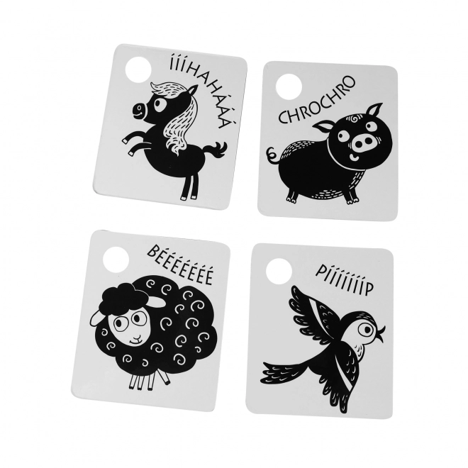 Black and White High-Contrast Cards