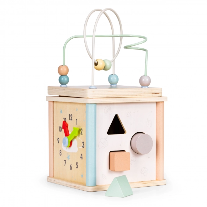 Wooden Educational Toy Cube by Ecotoys