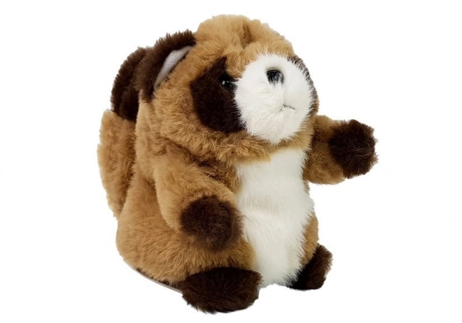 Interactive Talking Plush Raccoon Toy