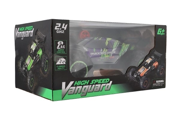 Remote Control Racing Buggy Car 40cm with Rechargeable Pack