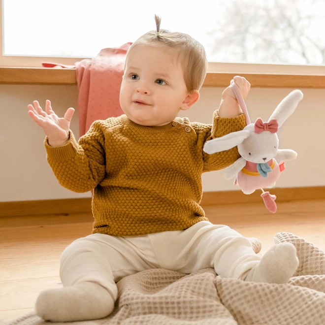 Plush Bunny Toy with Mozart Lullaby