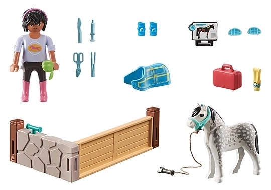 Playmobil Horse Therapist Set