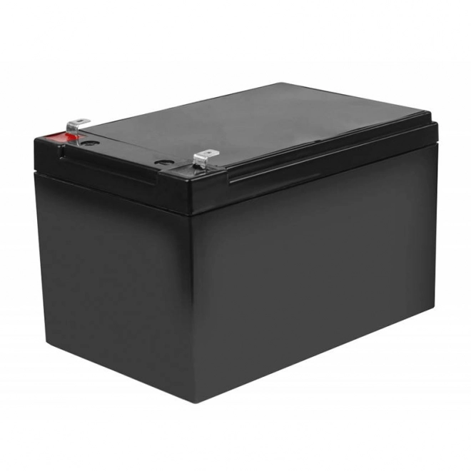 Rechargeable AGM VRLA Battery for UPS and Motor