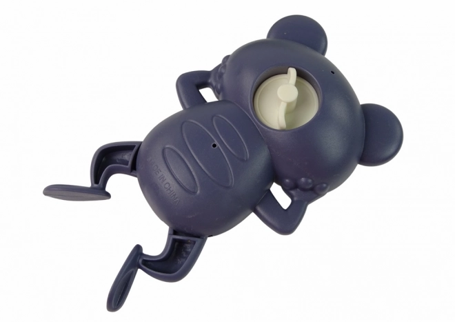 Wind-Up Floating Frog Toy