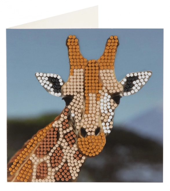 Stone Painting Diamond Cards 2 pcs 13x13 cm