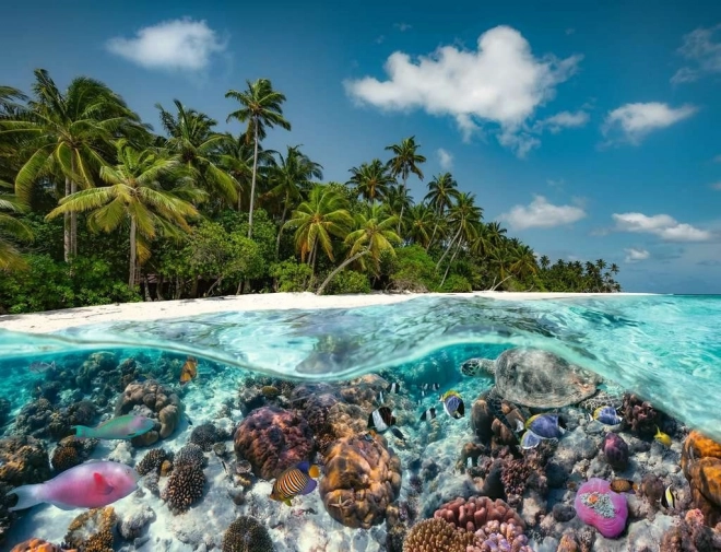 Diving in the Maldives Puzzle