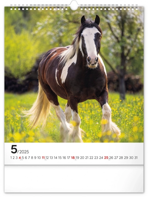 Wall Calendar Horses 2025