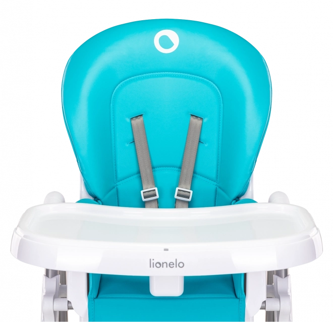 High Chair for Babies and Toddlers