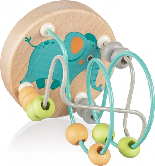 Educational Toy