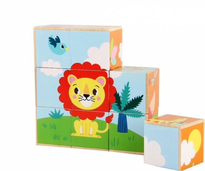 Animal Wooden Blocks