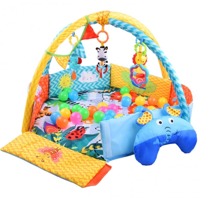 Educational Playmat with Detachable Toys