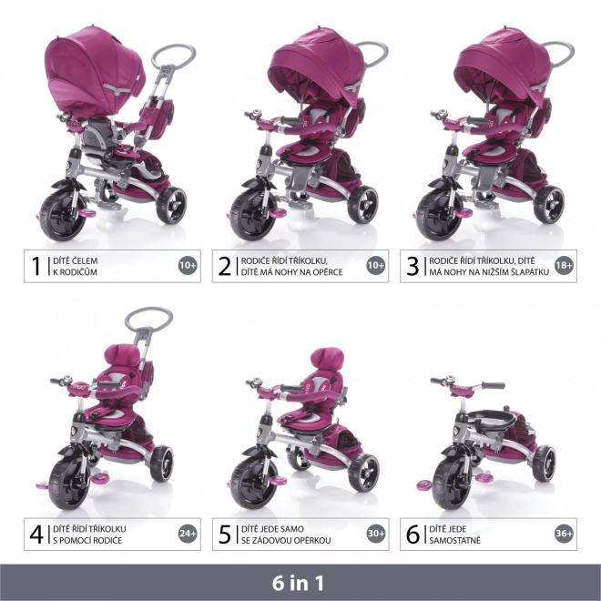 Tricycle citigo Mulberry Pink