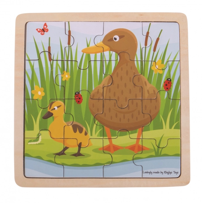 Duck and Duckling Puzzle