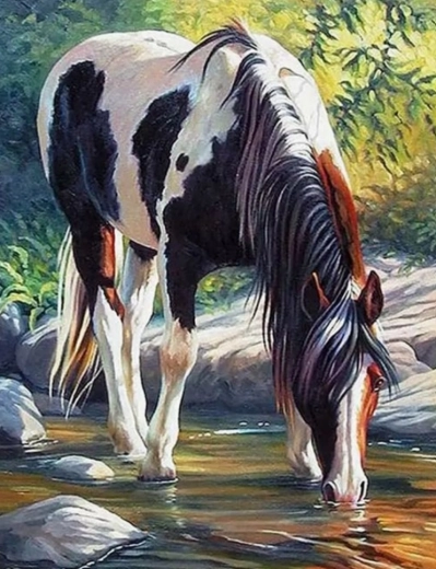 Diamantno slikanje Konj v reki 30x40 cm