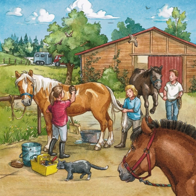 Trois histoires de chevaux dans un seul coffret