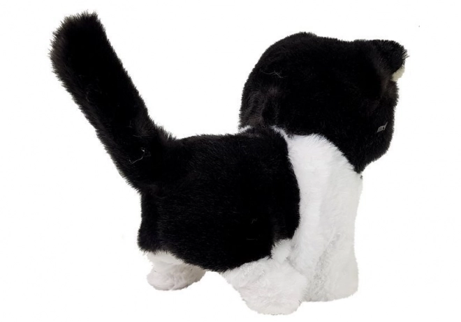 Interactive Walking Black and White Toy Cat