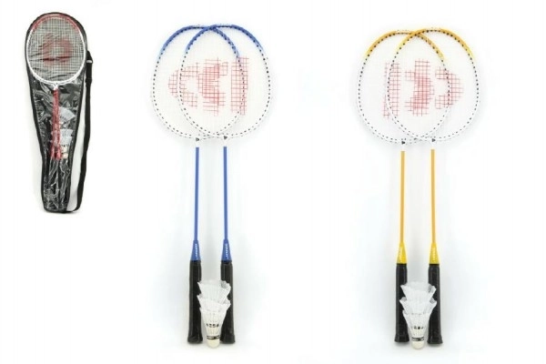 Badminton Set with Shuttlecocks for Kids