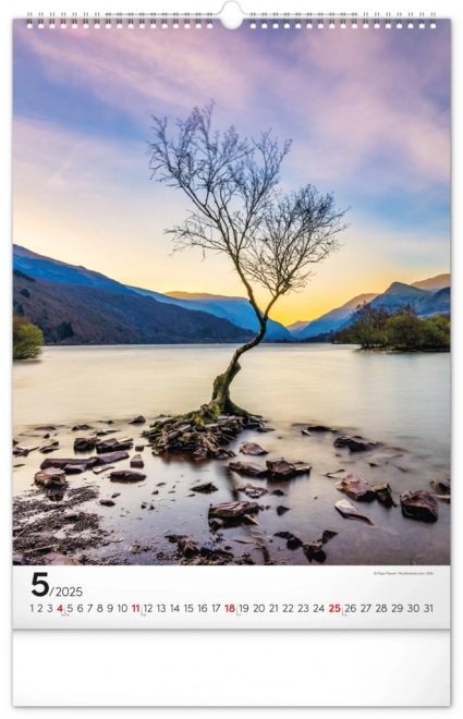 Wall Calendar Trees 2025