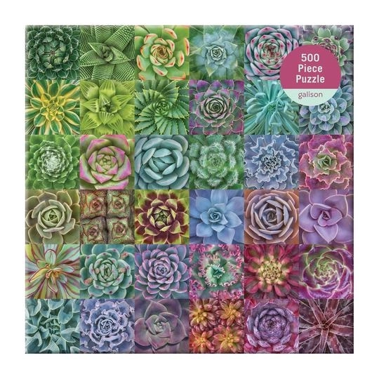 Puzzle Piante Grasse Colorate 500 Pezzi