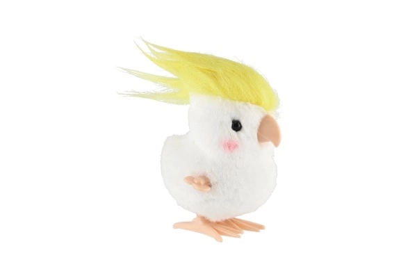 Wind-Up Parrot Toy