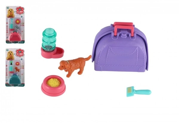 Pet Dog With Portable Plastic Box And Accessories