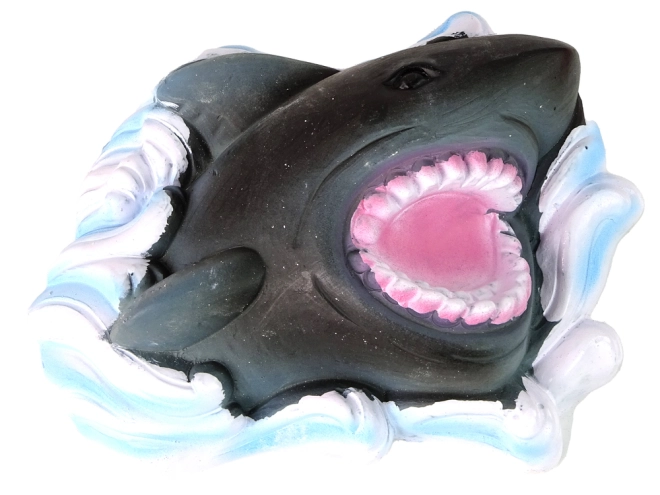 Realistic Shark Fossil