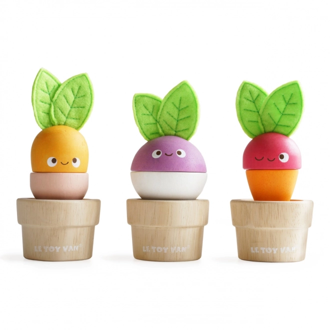 Le Toy Van vegetable garden set