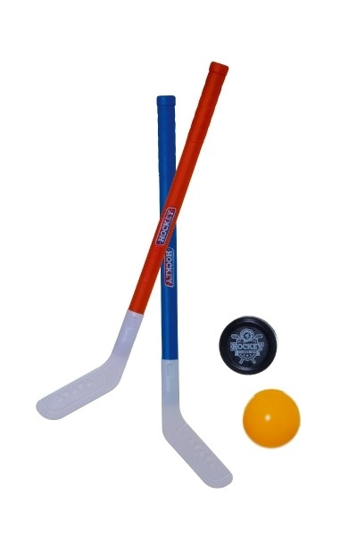 Field Hockey Sticks Set for Kids with Ball and Puck