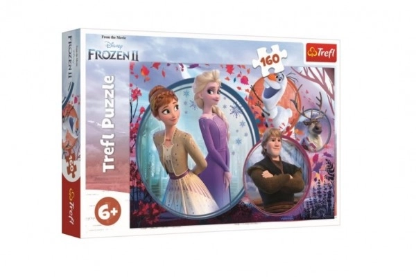 Frozen 2 Sisters Adventure Puzzle