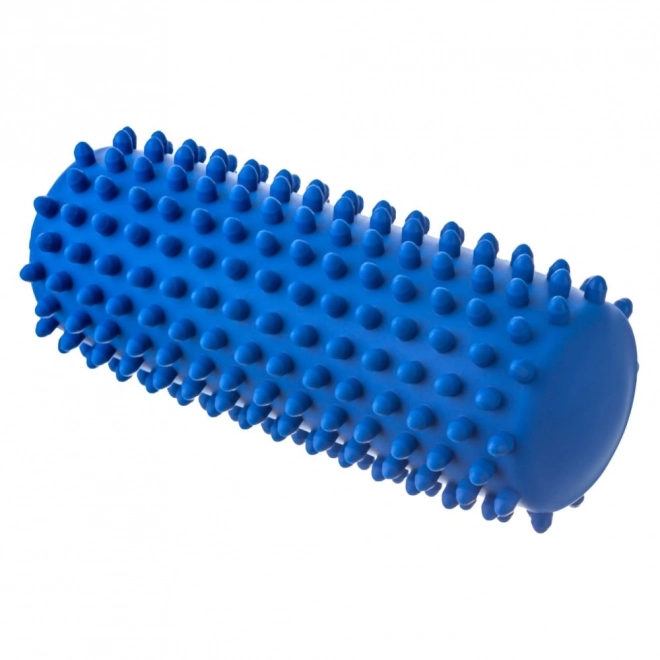 Blue Straight Massage and Rehabilitation Roller