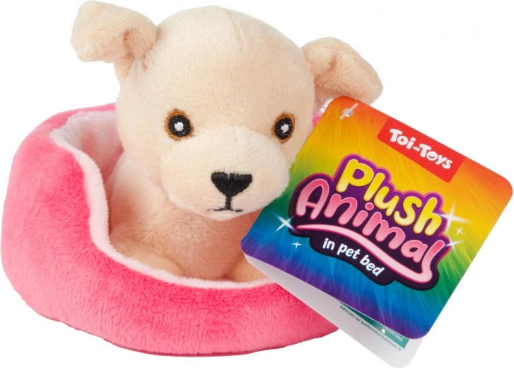 Bed for play and display