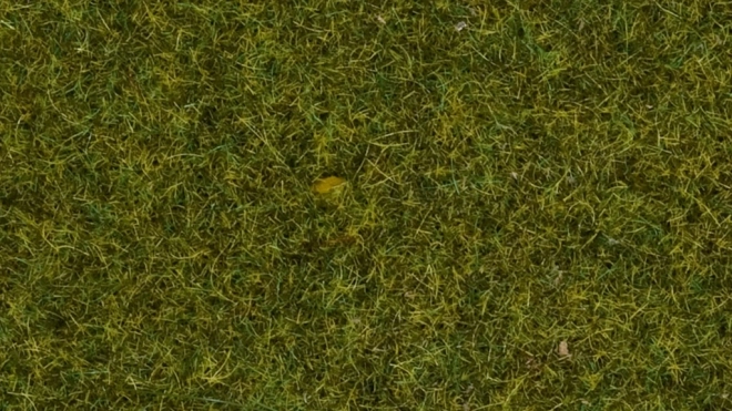 Statična trava Noch divja trava, 9 mm
