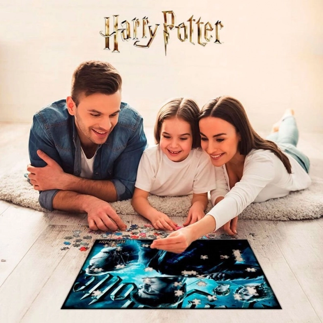 3D Puzzle Harry Potter: Gryffindor 500 Pieces