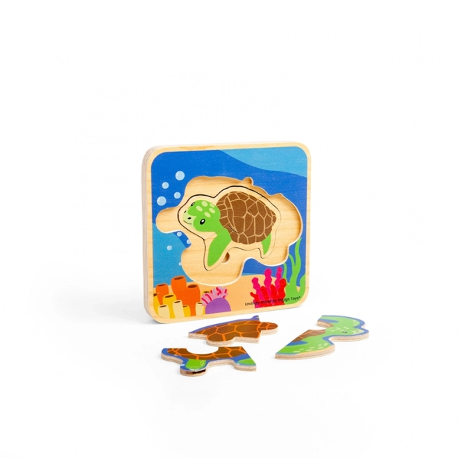 Wooden Turtle Life Cycle Puzzle