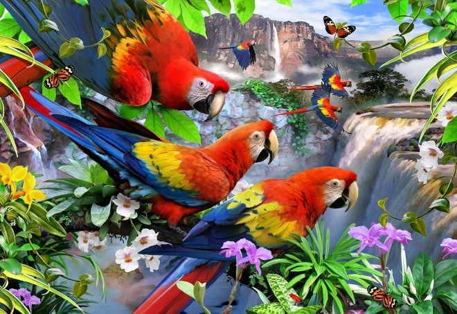 Wooden Parrot Island Puzzle 2-in-1