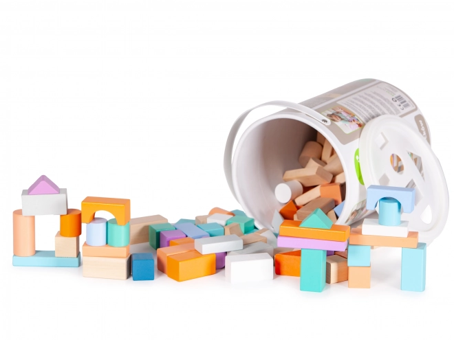 Wooden Blocks Set With Sorter