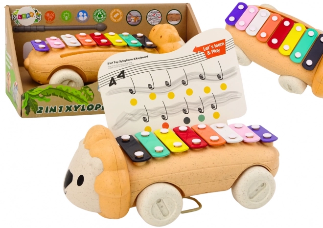 Colorful Lion Pull Along Xylophone Toy for Kids