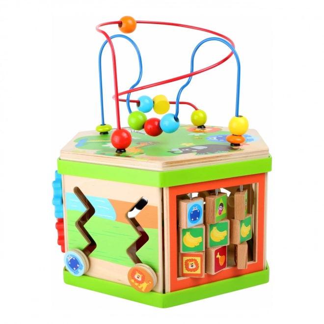 Large Safari Adventure Activity Cube