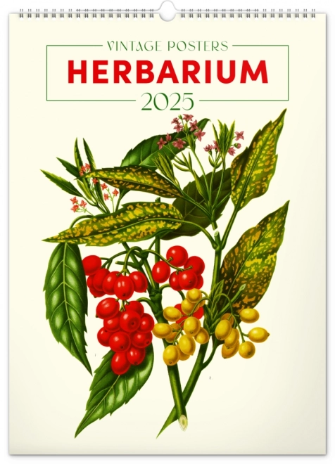 Notique Wall Calendar Vintage Poster Herbarium 2025