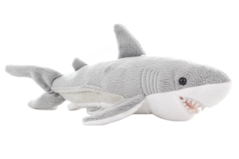 Plush Shark Toy