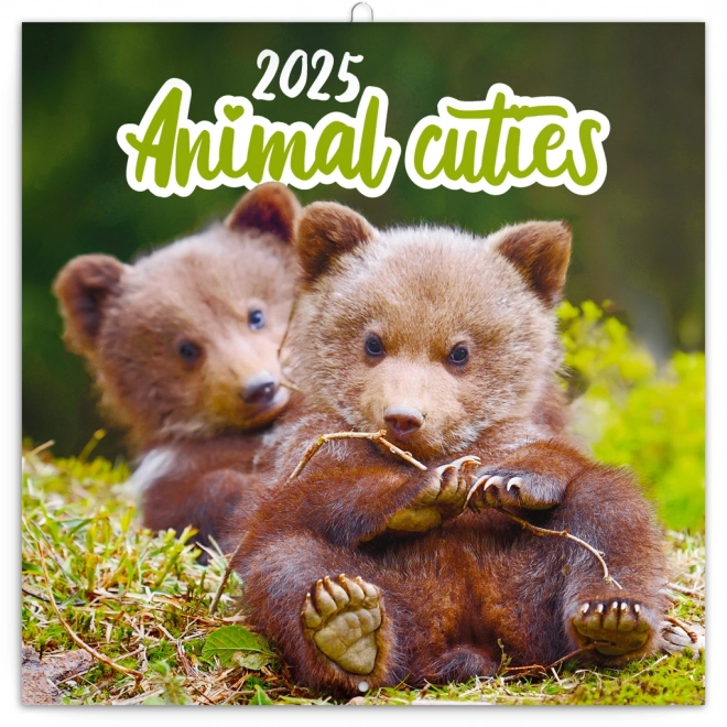 Notique Cute Animal Calendar 2025