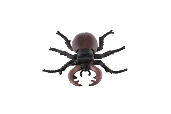 Common Stag Beetle Toy 8cm