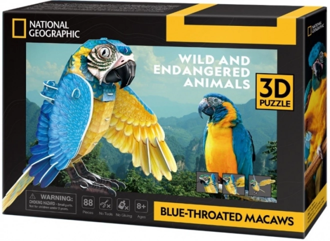 3D Puzzle Sapphire Macaw