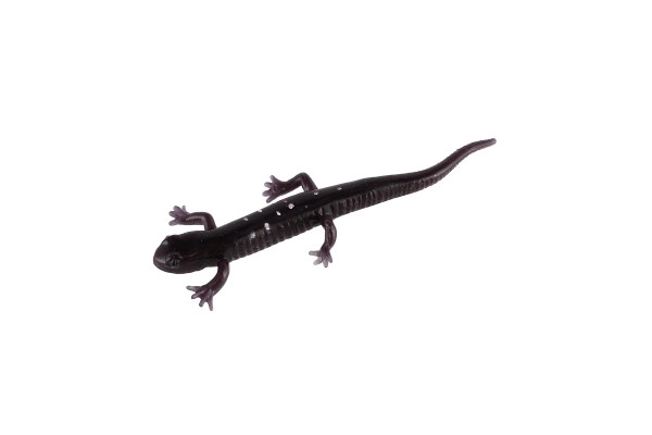 Color Changing Stretchable Stress Relief Lizard Toys